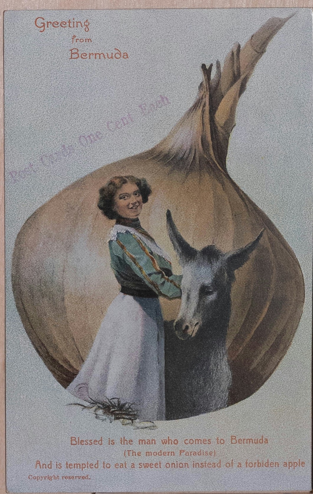 1900s Bermuda Postcard